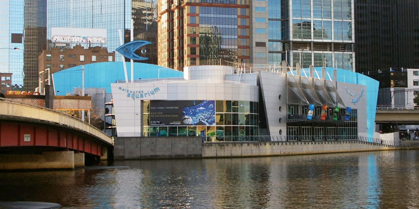 Melbourne Aquarium, CBD, Melbourne, VIC, Australia