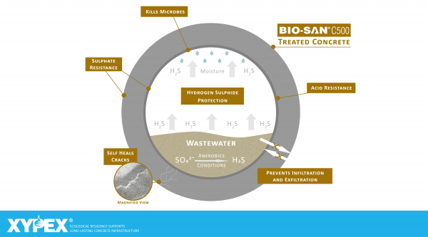 Wastewater Concrete Corrosion Solutions