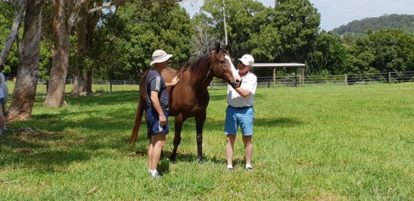 Xypex - Equine Assisted Corporate Leadership Program